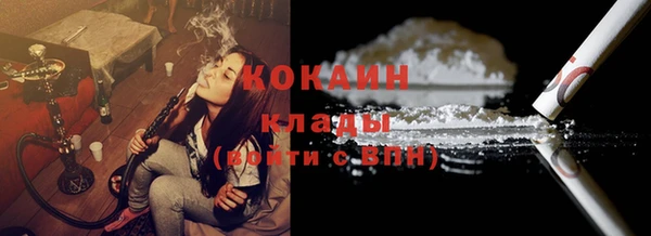 PSILOCYBIN Семёнов