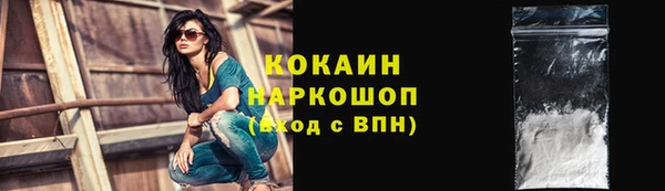 PSILOCYBIN Семёнов