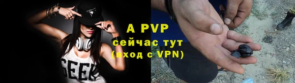 PSILOCYBIN Семёнов