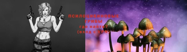 PSILOCYBIN Семёнов