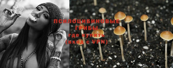PSILOCYBIN Семёнов