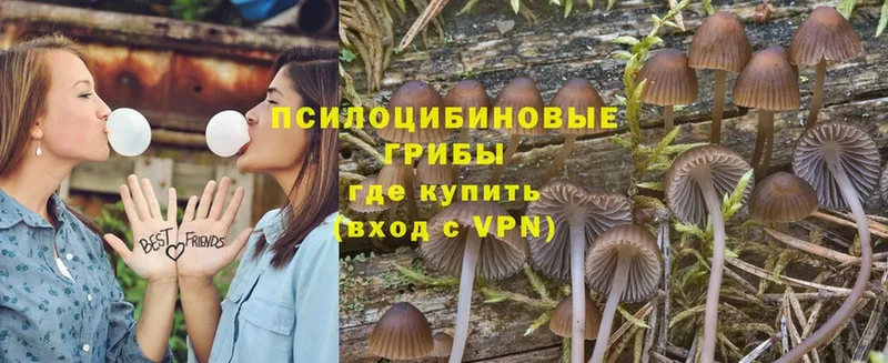 Псилоцибиновые грибы Magic Shrooms  Астрахань 