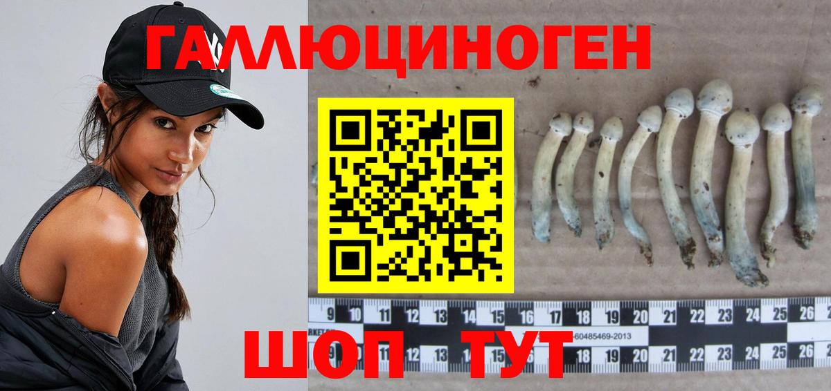 Псилоцибиновые грибы Psilocybine cubensis Астрахань