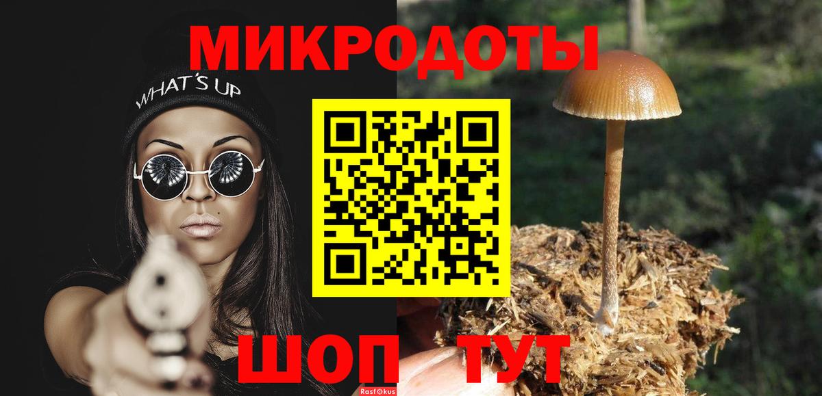 Астрахань  Псилоцибиновые грибы Psilocybine cubensis  Псилоцибиновые грибы Psilocybe  Вход с VPN 