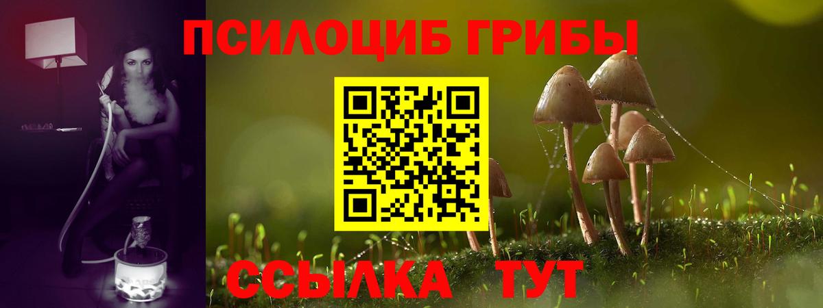 где продают наркотики  Астрахань  Псилоцибиновые грибы Psilocybine cubensis  Галлюциногенные грибы MAGIC MUSHROOMS 